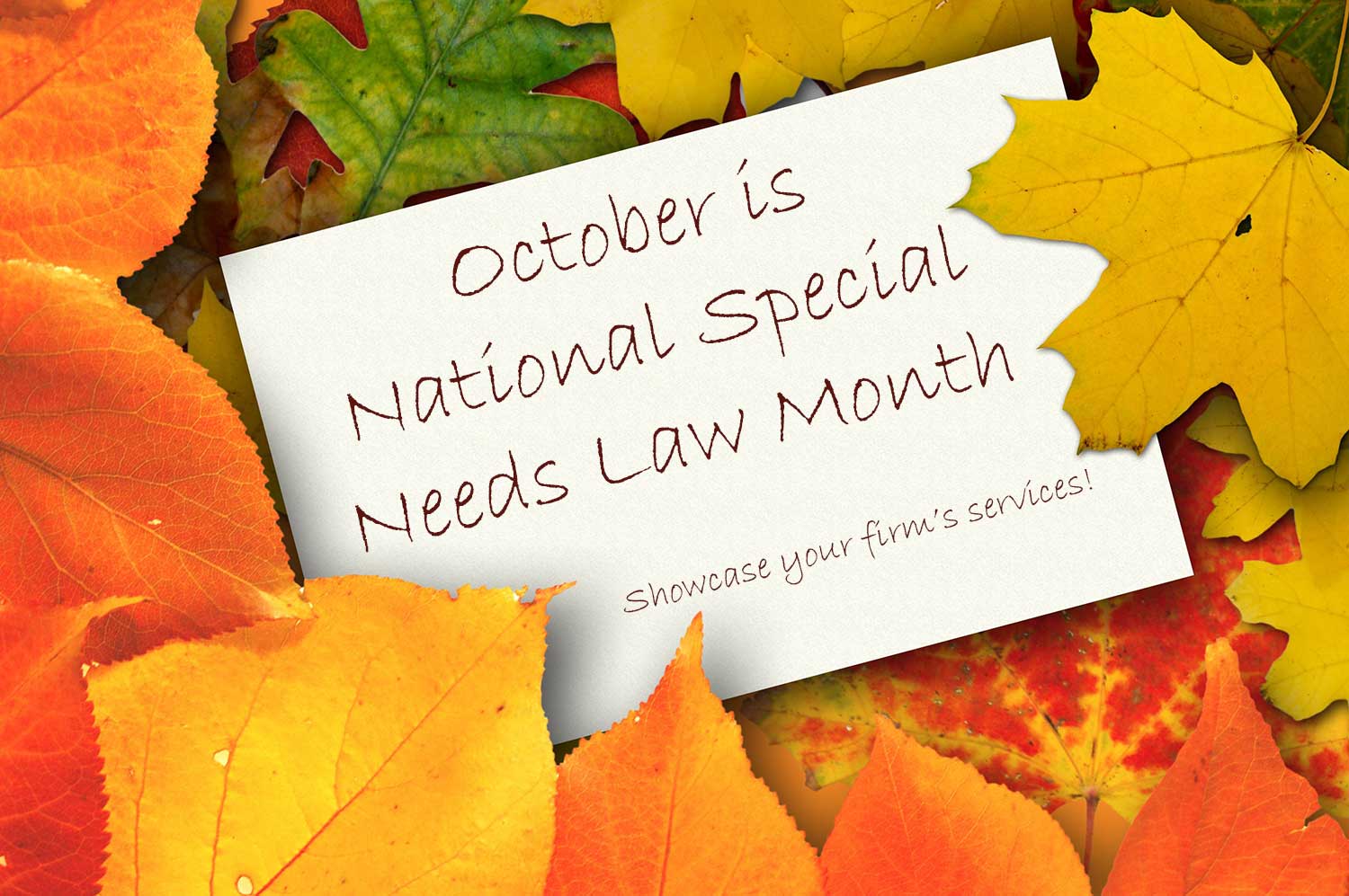 Leaves surrounding a note that says October is National Special Needs Law Month